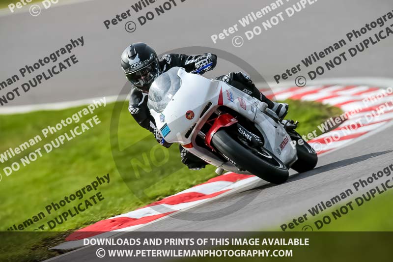 Oulton Park 21st March 2020;PJ Motorsport Photography 2020;anglesey;brands hatch;cadwell park;croft;donington park;enduro digital images;event digital images;eventdigitalimages;mallory;no limits;oulton park;peter wileman photography;racing digital images;silverstone;snetterton;trackday digital images;trackday photos;vmcc banbury run;welsh 2 day enduro